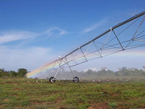 进城买房补5万与征地补偿政策下的机遇与挑战